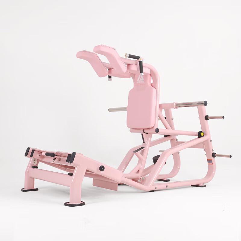 Yimai Integrated Hack Squat & Leg Press Trainer