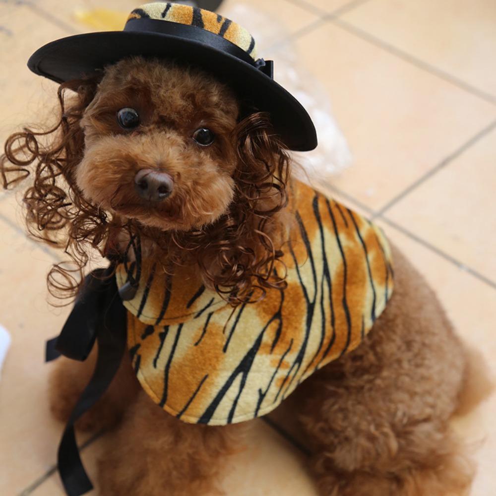 Dog clothes turned funny pet supplies cross-border hat cape set pet halloween costume