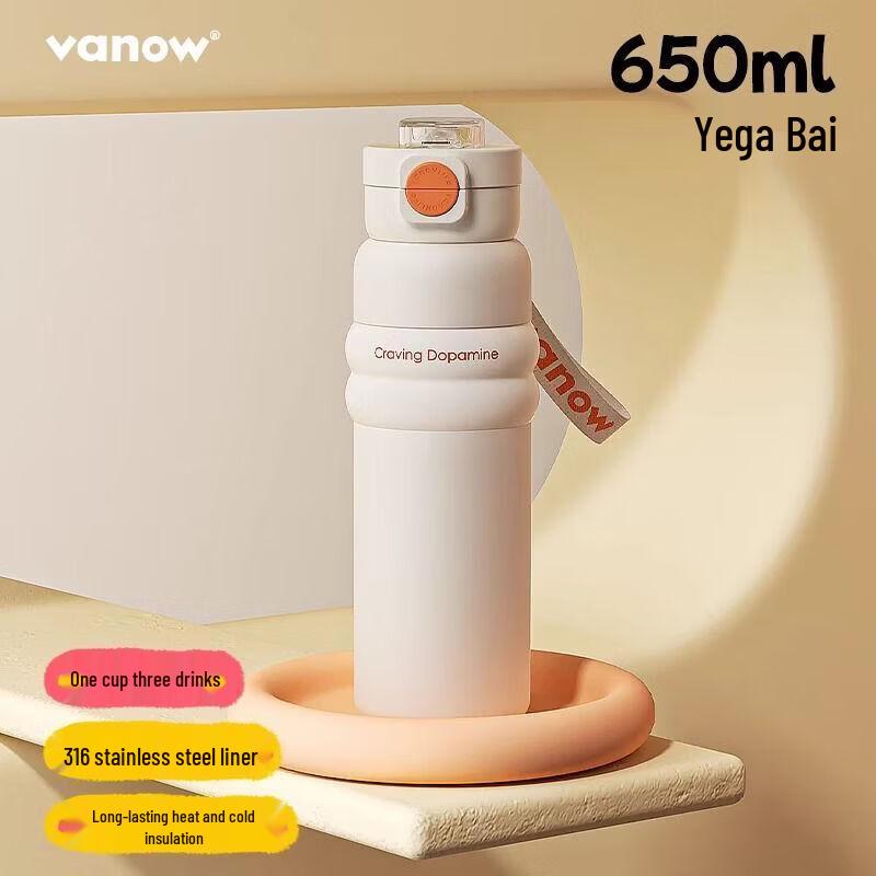 Vanow Insulated Stainless Steel Straw Water Bottle