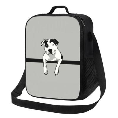 Pit Bull Terrier T-Bone Grafik Isolierte Lunchtasche für Outdoor-Picknick Auslaufsichere Kühltasche Thermische Lunchbox Frauen Kinder