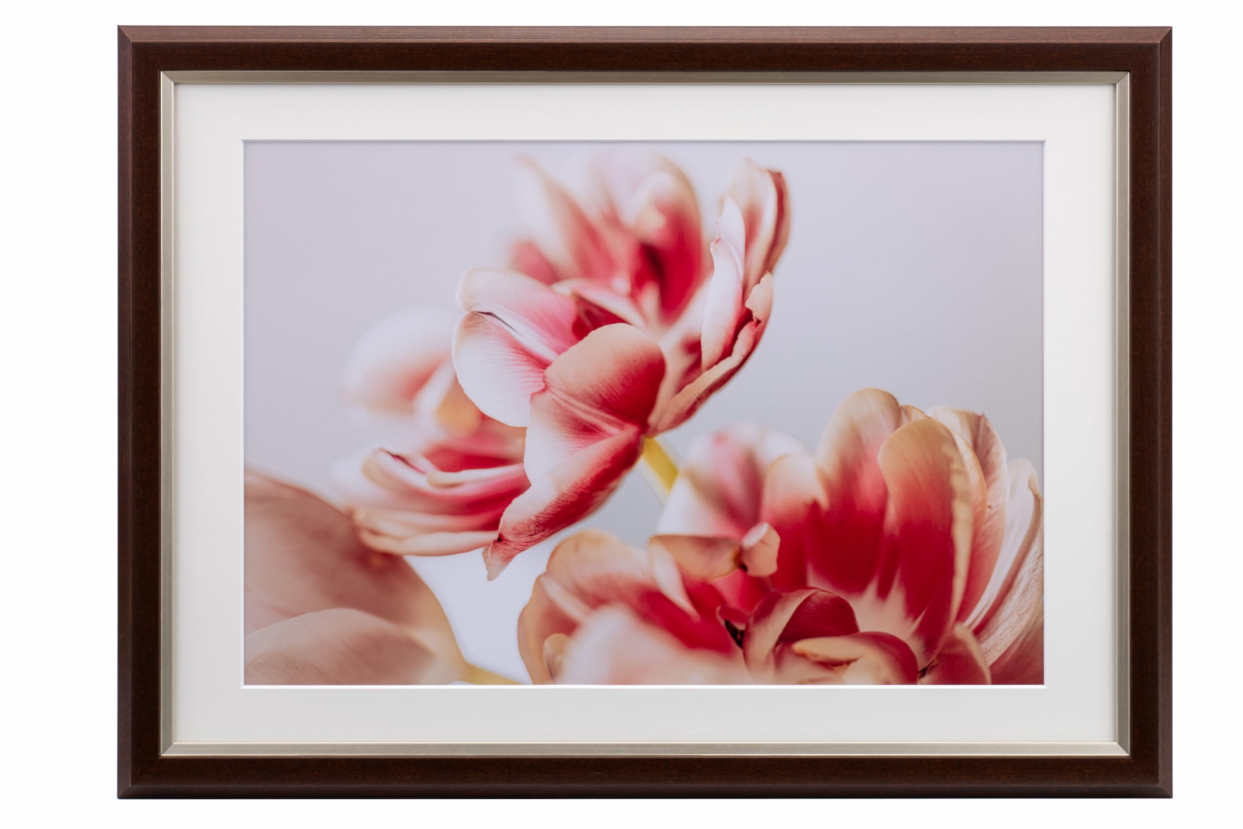 

Kenko Grace Mellow Miu Picture Wide Resin Hanging Cord Made in Japan Frame, 4-Cut/A3 Compatible, Brown, UV-Cut Acrylic, Frame, Included, (JGM-W4-BR)