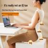 HEZHENG Lumbar Support Massage Cushion CN plug (adapter included)
