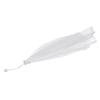 Cloche Alimentaire Pliante "Conserver" 30cm Blanc