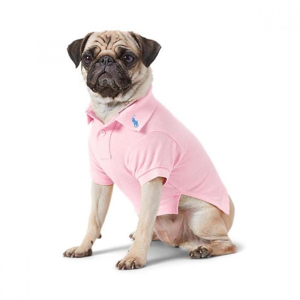 Polo Ralph Lauren Cotton Mesh Dog Polo Shirt Hmpogfthr920044650 XLARG