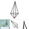 4 Stück Schwarze Metall-Tillandsia-Pflanzgefäße Eisen Geometrischer Pflanzenaufhänger Langlebiger Boho-Pflanzenhalter