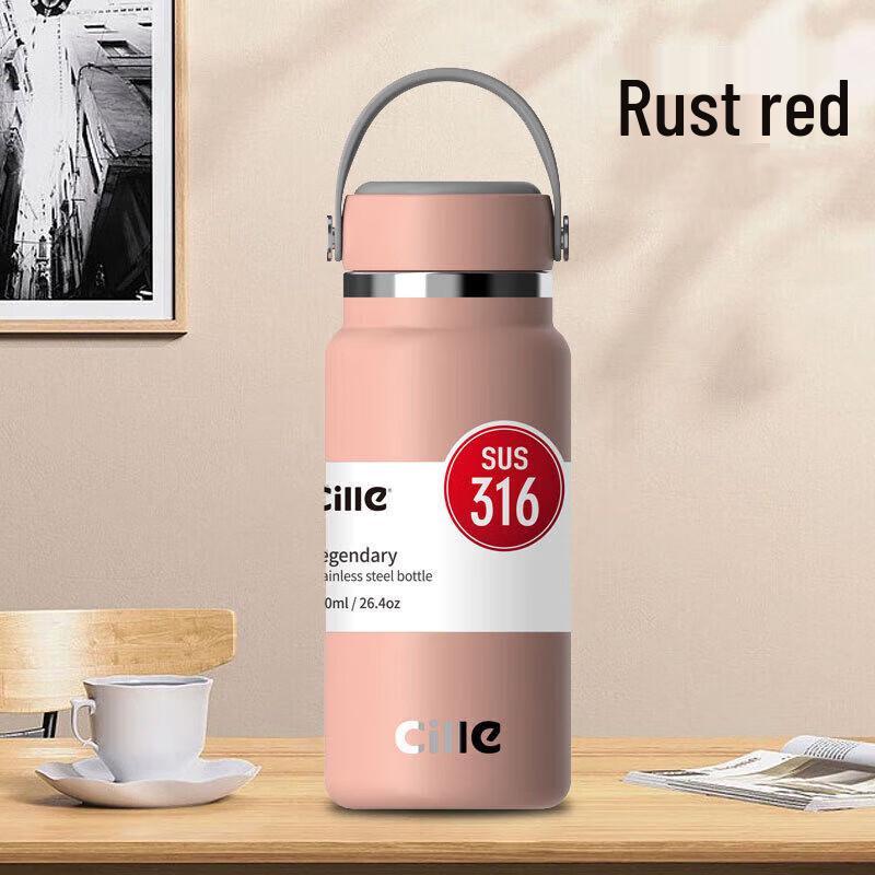 Cille 316 Stainless Steel Insulated Tea Bottle with Handle