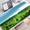 Accesorii pentru calculatoare – Mouse pad-uri și suporturi mână