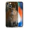 Cute Capybara Luxury Transparent Phone Case For iPhone 15 16 14 13 12 11 Pro Max XS X XR SE 7 8 Plus Clear Lens Protect Cover