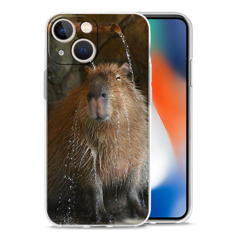 Cute Capybara Luxury Transparent Phone Case For iPhone 15 16 14 13 12 11 Pro Max XS X XR SE 7 8 Plus Clear Lens Protect Cover
