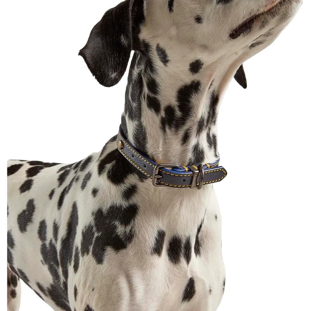 Joules Hundehalsband aus Leder