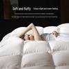 Yuanshenghuo Class A 95% White Goose Down Winter Comforter