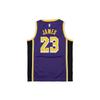 Nike Kids Basketball Jersey NBA Los Angeles Lakers James 23 Letter Print Loose Straight Sleeveless Kids Tops Purple 3Y2B7BXAP-LAKJL