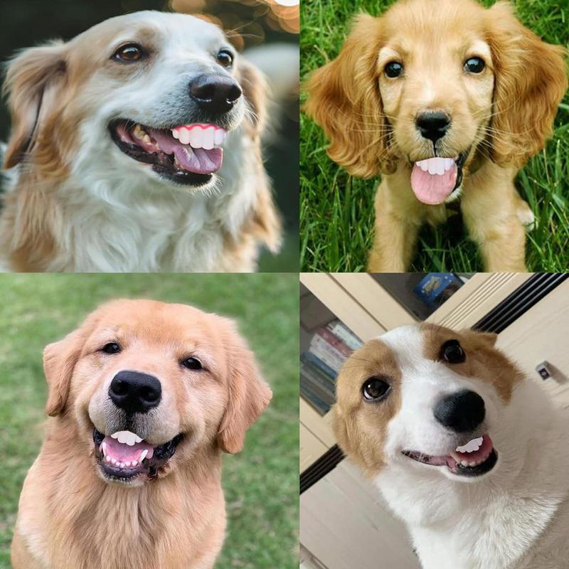 Haustier CorgiHund Falsches Gebiss Spielzeug Kaninchen Frontzahn Abdeckung Lustige Welpen Gebisse Haustier Dekoration Cosplay Halloween Kostüm