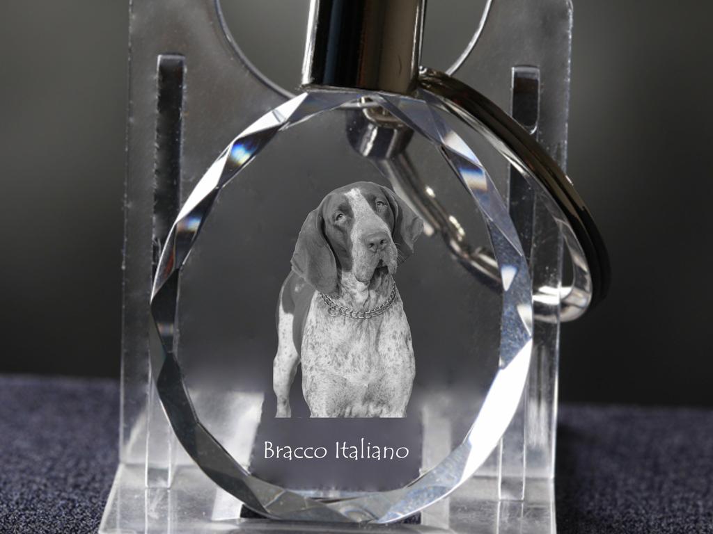 Italian Pointing Dog, Bracco Italiano, Italian Pointer - pandantiv cu o fotografie a unui câine, breloc de cristal într-o cutie cadou, un cadou unic de la Art-Dog
