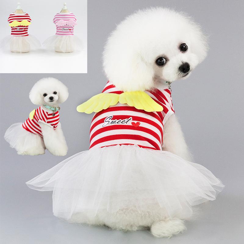dog pink tutu