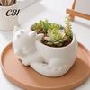Soft Furnishing Desk Accessory Flowerpot Ornament, 3D Printed Sleeping Dragon Shape, Matte Large Black And White Plant Pot Decor Curved Planter,