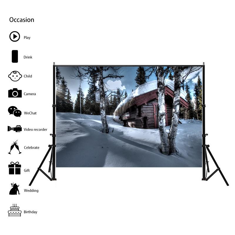 Winter Theme Snow Scene Background Nature Landscape Sky Snowflake Christmas Portrait Prop Party Decoration Banner