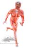 Attack On Titan Colossal Titan Full Body Zentai Cosplay Skin Tights Costume for Halloween (M)