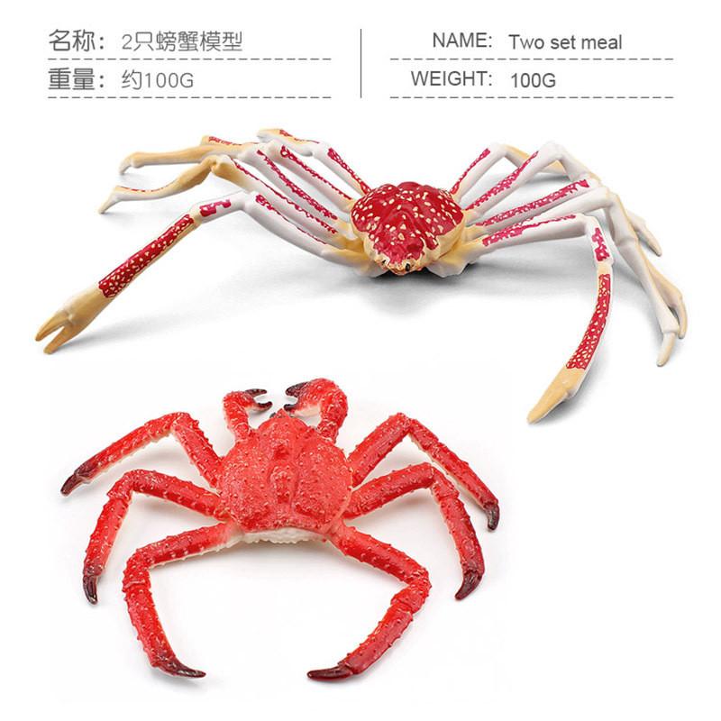 Realistic Children's Ocean Animal Crab Model Featuring Majestic King Crab And Spider Crab