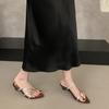 French pointed thick heel strap sandals fairy shoes 2025 new summer with skirt toe silver Roman shoes