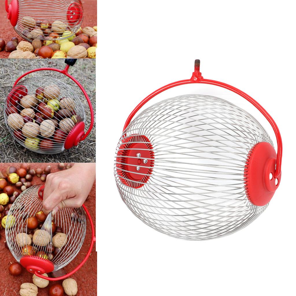 Nut Gatherer Stainless Steel   Collector Picker Upper Roller Fruit Picker for Toy   Acorns Pecans