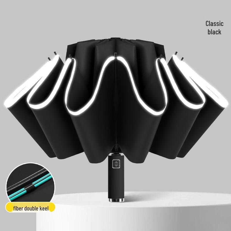 Hanyou Fully Automatic 10-Rib All-Weather Umbrella
