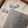 Stainless Steel Nail Art Stamping Plate with Ocean Themed Suitable for Enhancing Visual Appeal In Holiday Decorating