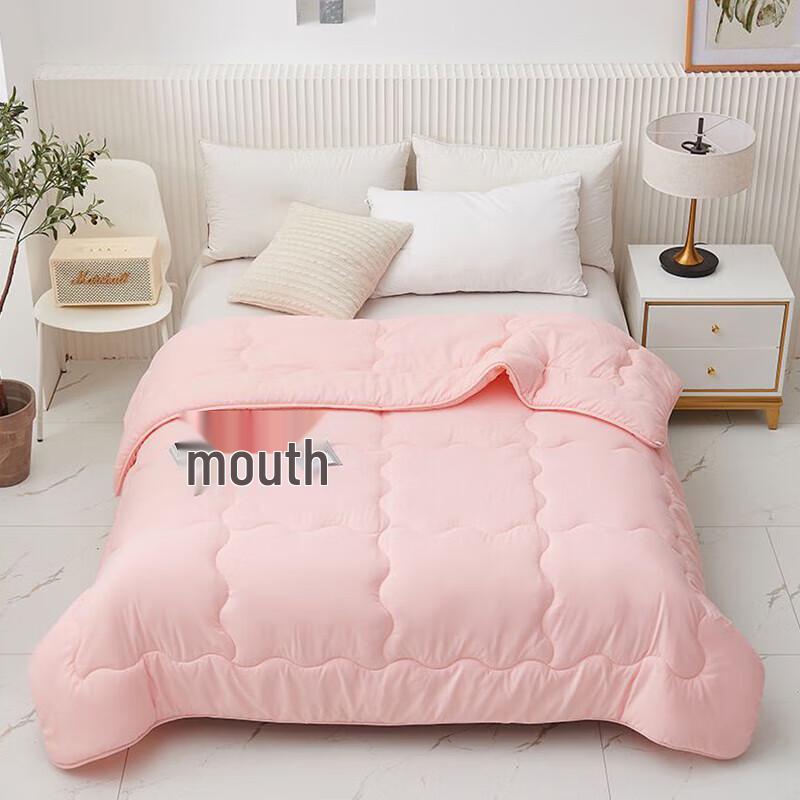 

Dohia All-Season Soft Fiber Quilt