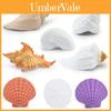 Conjunto de Brinquedos Modelo de Conchas Oceânicas Realistas de 8 Peças Incluindo Búzio, Náutilo, Vieiras e Mais