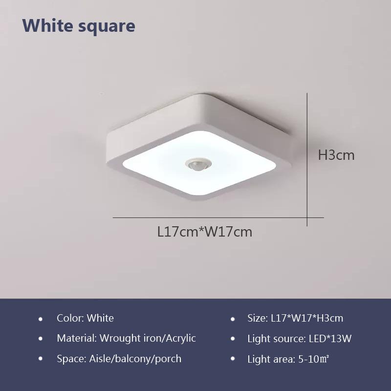 Modern LED Ceiling Lamp Human Body Induction Home Decor Fixture For Aisle Balcony Corridor Hallway Kitchen Ceiling Decor Lusters
