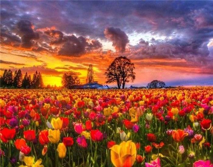 RUOPOTY Digital Painting Flower Sea Hand-Painted Wall Art Painting Unique Gifts On Canvas Sunset Pictures Home Decoration