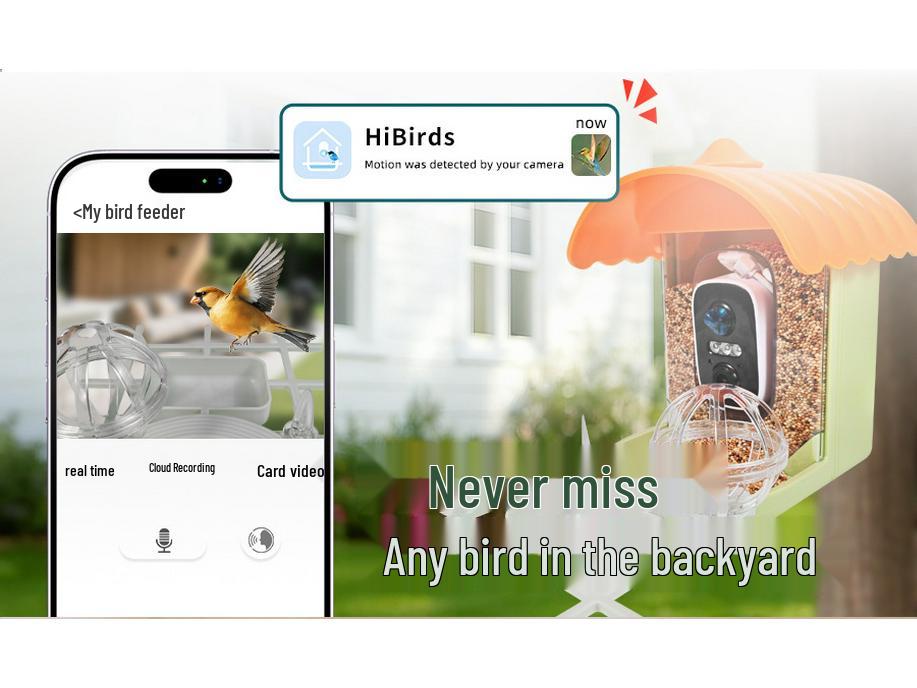 Smart Bird Feeder: Automatic Remote Pet Treat Dispenser & Custom Timer