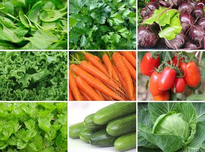 Juice Paradise Set med frön / 9 sorter av grönsaksfrön / Icke GMO / Ekologiskt