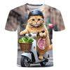 Kawaii Cartoon Animal Fox Kids Adult Printed T-shirt Summer Women's and Men's Casual Outdoor Girl and Boy Short Sleeve Tees Top