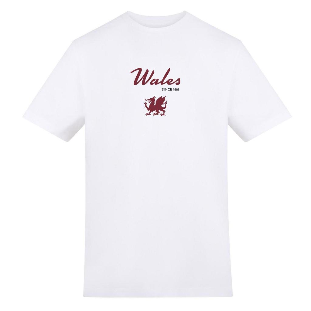 AWD Unisex Adult Wales Since 1881 T-Shirt