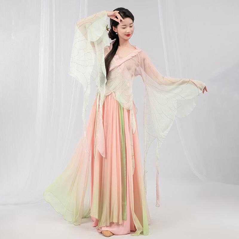Women s Classical Dance Gradient Performance Dress 2XL