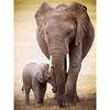 DIY Elephant 5D Diamond Painting Full Round Drill Animal Diamond Embroidery Cross Stitch Kits Wall Art Home Decor Drop&amp;shiping