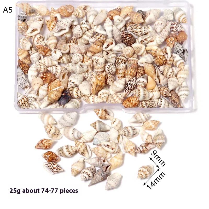 1 Box Sea Shells Spiral Shell Tiny Ocean Spiral Seashells Crafts Aquarium Decor Landscaping Accessories