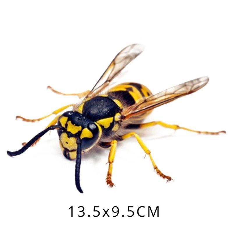 

3D Искусственные Насекомые Мотоцикл Наклейки Передний Капот Топливный Бак Боковые Обтекатели Украшения Виниловые Наклейки Животные Мотор Аксессуары