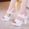 2025 Sexy High Heels New Women Pumps Comfort Women Shoes Super High Heel Ladies Shoes Open Toe Women Sandals 32-43
