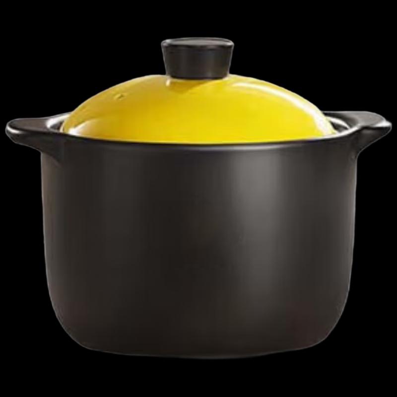 Royalstar 4.6L Health Clay Pot