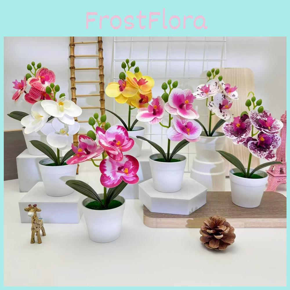 Botanical Phalaenopsis Faux Fake Flower Props For Bridal Events And Party Decor