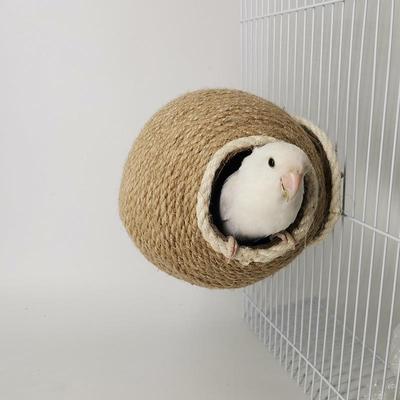 Kokosové ptačí hnízdo Ptačí hnízdo Pet potřeby hračky Kokosové hnízdo Kokosové hnízdo Wen ptačí hnízdo tygří pivoňka