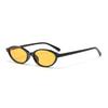 Classic Oval Small Sunglasses Women Trendy Cat-eye Sun Glasses for Ladies Fashion Daily Driving Travelling Shades UV400