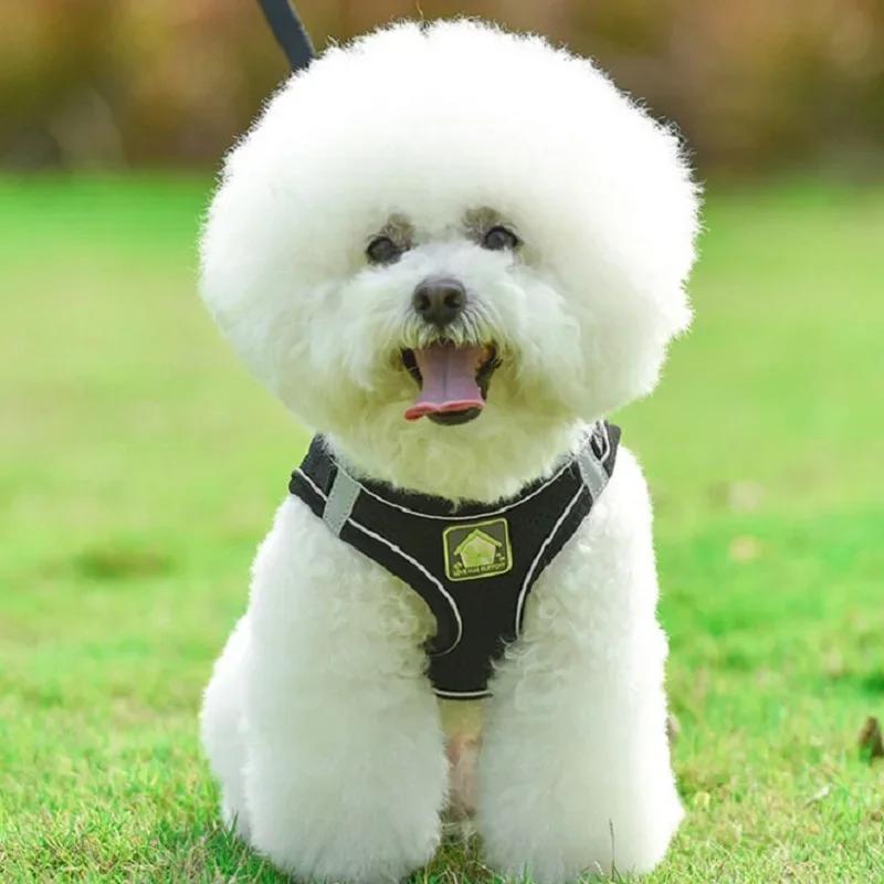 Reflective Pet Leash Harness & Leash Set For Puppy & Kitten, No Pull Dog Vest Harness With Breathable Mesh