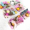 Dried Flowers Home Photography Props DIY Ornament Craft Specimen Accessories