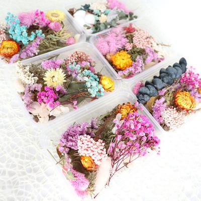 Dried Flowers Home Photography Props DIY Ornament Craft Specimen Accessories