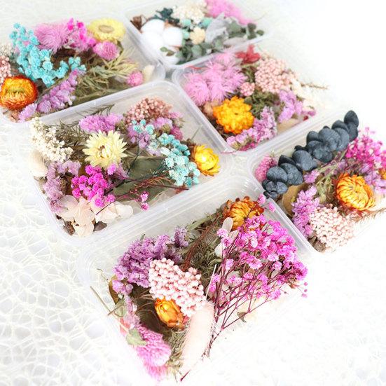 Dried Flowers Home Photography Props DIY Ornament Craft Specimen Accessories
