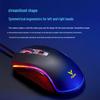Rapoo V25S Large Ergonomic RGB Wired Gaming Mouse