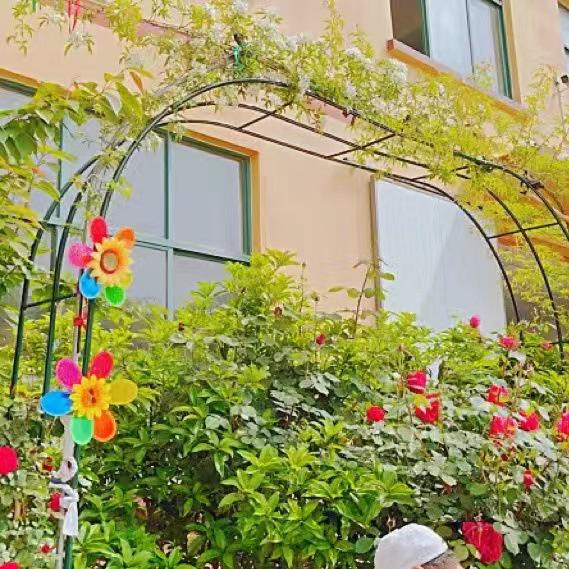 Rust-Proof Arch Trellis: Reinforced Climbing Vine Stand for Indoor/Outdoor Gardens and Courtyards.